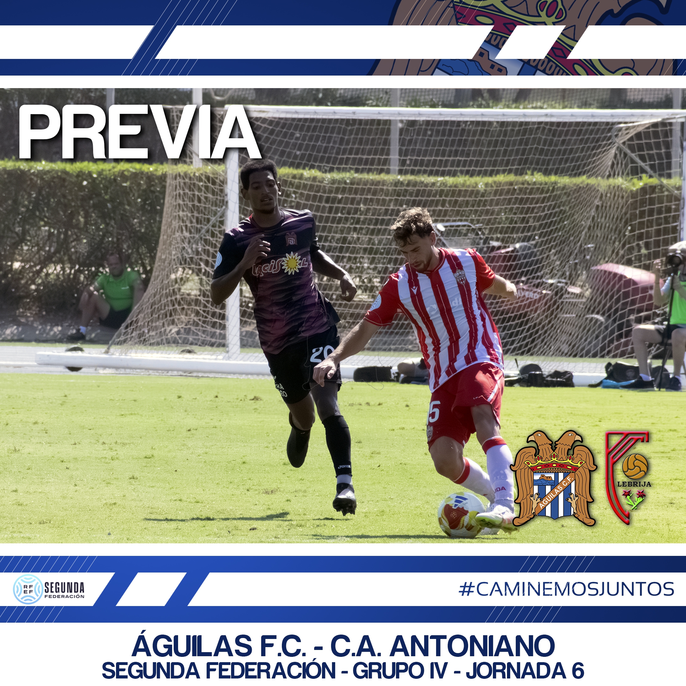 Image for Águilas - Antoniano / PREVIA // Toca hacerse fuertes en El Rubial